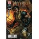 WOLVERINE 304. MARVEL. DALE KEOWN