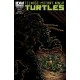 TEENAGE MUTANT NINJA TURTLES 15. COVER B. 