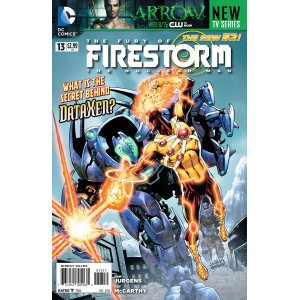 FURY OF FIRESTORM: THE NUCLEAR MEN 13. DC RELAUNCH (NEW 52) 
