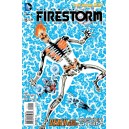 FURY OF FIRESTORM: THE NUCLEAR MEN 15. DC RELAUNCH (NEW 52) 