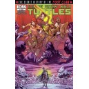 TMNT. TEENAGE MUTANT NINJA TURTLES SECRET HISTORY OF THE FOOT CLAN 3.