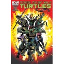 TEENAGE MUTANT NINJA TURTLES 19. COVER A.