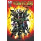 TEENAGE MUTANT NINJA TURTLES 19. COVER A.