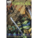 TEENAGE MUTANT NINJA TURTLES 21. SUBSCRIPTION COVER. TMNT.