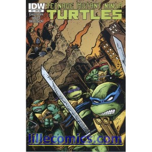 TEENAGE MUTANT NINJA TURTLES 21. SUBSCRIPTION COVER. TMNT.