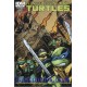 TEENAGE MUTANT NINJA TURTLES 21. SUBSCRIPTION COVER. TMNT.