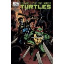 TEENAGE MUTANT NINJA TURTLES 22. CITY FALL. COVER B. TMNT