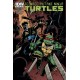TEENAGE MUTANT NINJA TURTLES 22. CITY FALL. COVER B. TMNT
