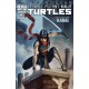 TEENAGE MUTANT NINJA TURTLES VILLAIN MICRO-SERIES 5. KARAI. TMNT.
