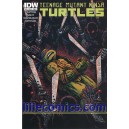 TEENAGE MUTANT NINJA TURTLES 23. CITY FALL.  COVER B.  TMNT