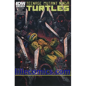 TEENAGE MUTANT NINJA TURTLES 23. CITY FALL.  COVER B.  TMNT