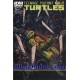 TEENAGE MUTANT NINJA TURTLES 23. CITY FALL.  COVER B.  TMNT