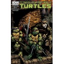 TEENAGE MUTANT NINJA TURTLES 24. COVER B. TMNT.