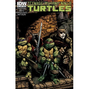 TEENAGE MUTANT NINJA TURTLES 24. CITY FALL. COVER B. TMNT.