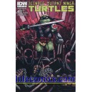 TEENAGE MUTANT NINJA TURTLES 25. CITY FALL. COVER B.  TMNT.