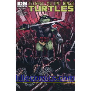 TEENAGE MUTANT NINJA TURTLES 25. CITY FALL. COVER B.  TMNT.