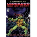 TEENAGE MUTANT NINJA TURTLES COLOR CLASSICS MICRO-SERIES. LEONARDO. TMNT.