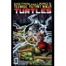 TEENAGE MUTANT NINJA TURTLES COLOR CLASSICS 9. TMNT.