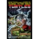 TEENAGE MUTANT NINJA TURTLES COLOR CLASSICS 9. TMNT.