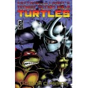 TEENAGE MUTANT NINJA TURTLES COLOR CLASSICS 10. TMNT.
