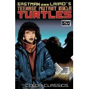 TEENAGE MUTANT NINJA TURTLES COLOR CLASSICS 11. TMNT.