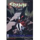 SPAWN 100. COVER C. TODD McFARLANE. MINT.