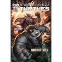 TEENAGE MUTANT NINJA TURTLES VILLAIN MICRO-SERIES 7. BEBOP & ROCKSTEADY. TMNT.