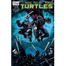 TEENAGE MUTANT NINJA TURTLES 26. CITY FALL. COVER B. TMNT