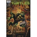 TEENAGE MUTANT NINJA TURTLES 27. CITY FALL. COVER B. TMNT