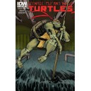 TEENAGE MUTANT NINJA TURTLES 1. COVER B. FIRST PRINT. TMNT. 