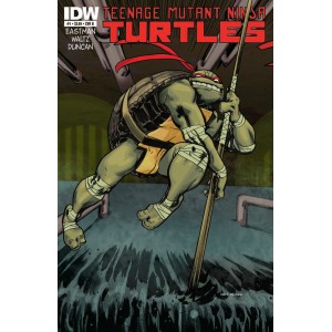 TEENAGE MUTANT NINJA TURTLES 1. COVER B. FIRST PRINT. TMNT. 
