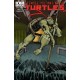 TEENAGE MUTANT NINJA TURTLES 1. COVER B. FIRST PRINT. TMNT. 