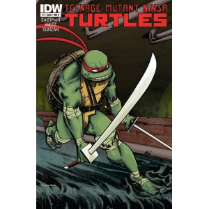 TEENAGE MUTANT NINJA TURTLES 1. COVER C. FIRST PRINT. TMNT. 