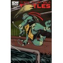 TEENAGE MUTANT NINJA TURTLES 1. COVER D. FIRST PRINT. TMNT. 