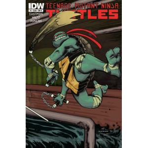 TEENAGE MUTANT NINJA TURTLES 1. COVER D. FIRST PRINT. TMNT. 