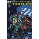 TEENAGE MUTANT NINJA TURTLES 13. COVER B. TMNT