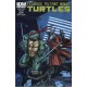 TEENAGE MUTANT NINJA TURTLES 13. COVER B. TMNT
