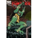 TEENAGE MUTANT NINJA TURTLES 1. COVER A. FIRST PRINT. TMNT. 