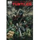 TEENAGE MUTANT NINJA TURTLES 12. COVER B. TMNT.    