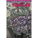 TEENAGE MUTANT NINJA TURTLES UTROM EMPIRE 2. SUBSCRIPTION COVER.