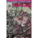 TEENAGE MUTANT NINJA TURTLES UTROM EMPIRE 3. SUBCRIPTION COVER.