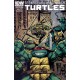 TEENAGE MUTANT NINJA TURTLES 4. COVER B. FIRST PRINT. TMNT.