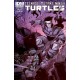 TEENAGE MUTANT NINJA TURTLES 6. COVER B. FIRST PRINT. TMNT. 