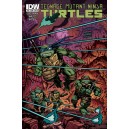 TEENAGE MUTANT NINJA TURTLES 18. COVER B. TMNT