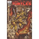 TEENAGE MUTANT NINJA TURTLES 8. COVER B. TMNT.