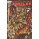 TEENAGE MUTANT NINJA TURTLES 8. COVER B. TMNT.