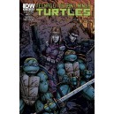 TEENAGE MUTANT NINJA TURTLES 19. COVER B. TMNT.