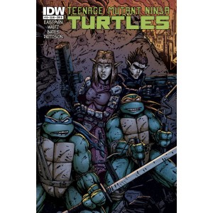 TEENAGE MUTANT NINJA TURTLES 19. COVER B. TMNT.