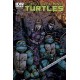TEENAGE MUTANT NINJA TURTLES 19. COVER B. TMNT.