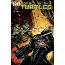 TEENAGE MUTANT NINJA TURTLES 20. COVER B. TMNT.